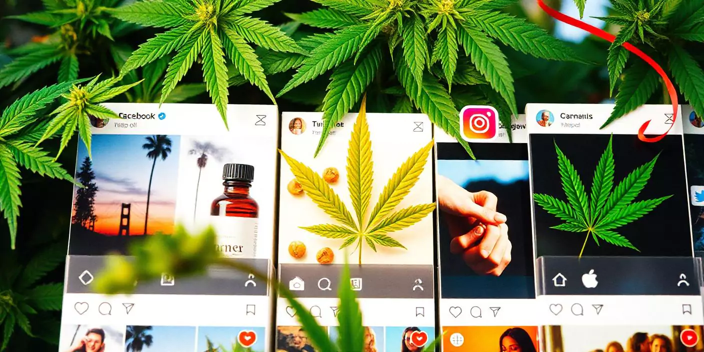 รับทำ SMM สำหรับบริษัทจำหน่ายกัญชาและ CBD