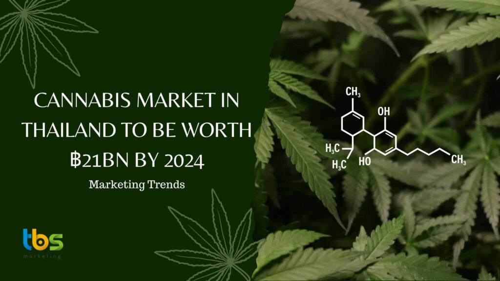 Cannabis-market-in-Thailand-to-be-worth-฿21bn-by-2024
